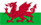 Wales Flag